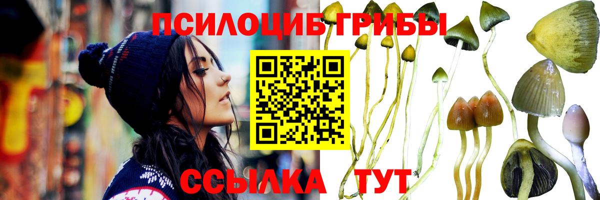 Галлюциногенные грибы прущие грибы  Галлюциногенные грибы мухоморы  Барабинск  Вход с VPN 